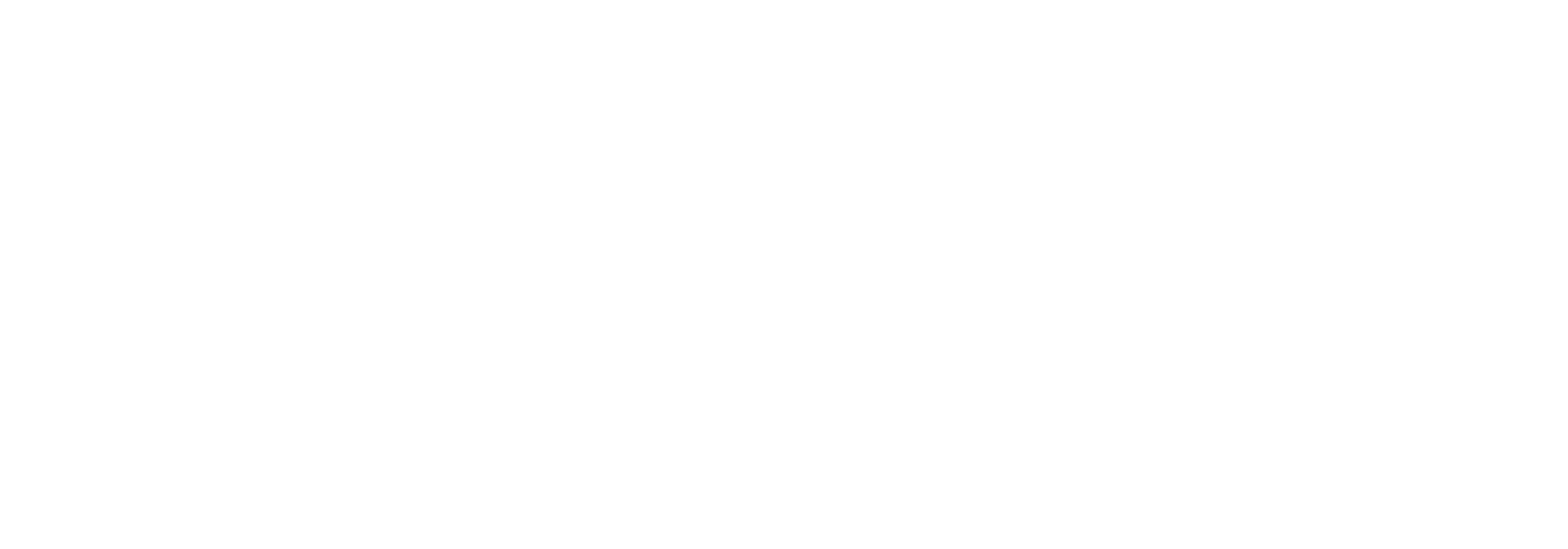 Sport eXperience
